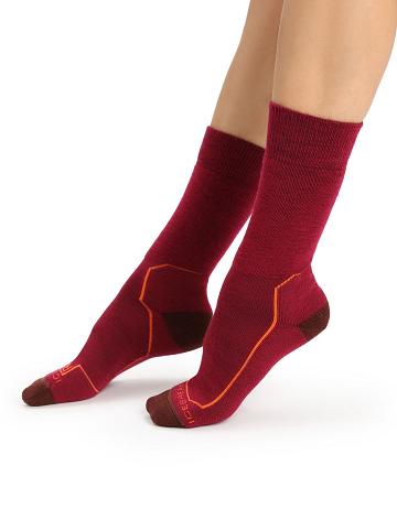 Women's Icebreaker Merino Hike+ Medium Crew Socks Cherry / Espresso | CA 1517UZGT